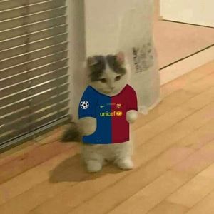 Meet your Posher, Javier